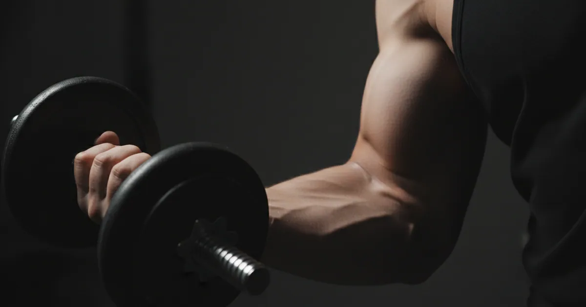 mind muscle connection
